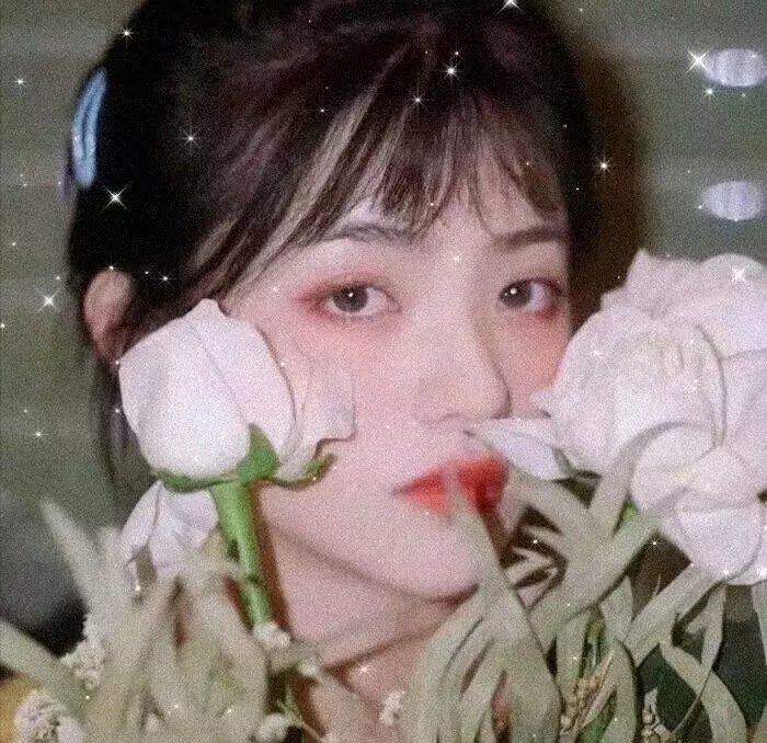 双凤劫